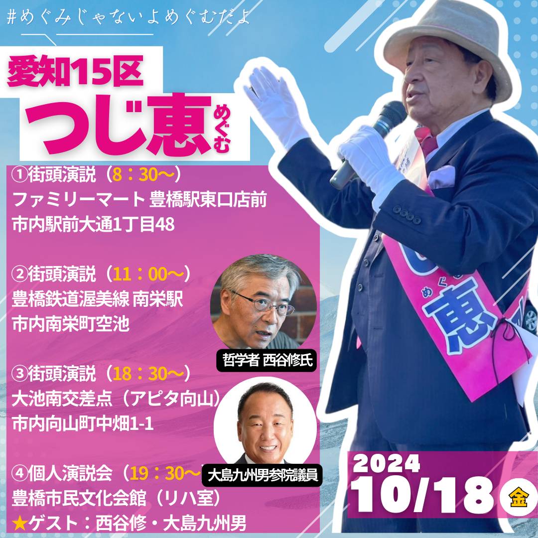 つじ恵 2024年10月18日 衆議院選挙2024