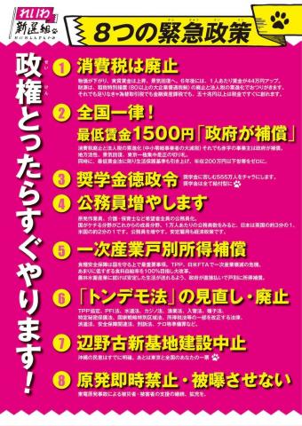 れいわ新選組 8つの緊急政策